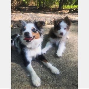 Meet your Posher, Shayne